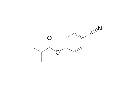 2-Methylpropionic acid, 4-cyanophenyl ester