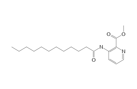 METHYL-3-DODECANOYL-AMINOPICOLINATE