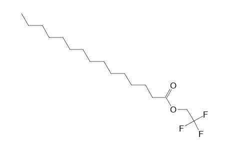 Pentadecanoic acid, 2,2,2- trifluoroethyl ester