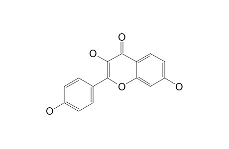3,7,4'-Trihydroxyflavone