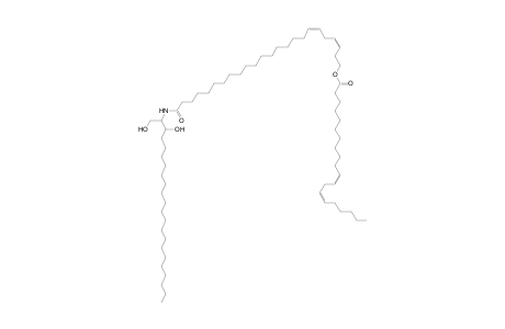 Cer 22:0;2O/24:2;O(FA 20:2)