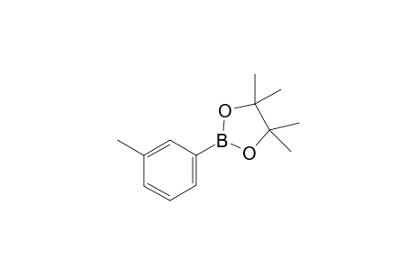 3-(4',4',5','5-TETRAMETHYL-1',3',2'-DIOXABOROLANYL)-TOLUENE