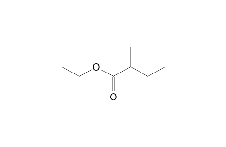 Ethyl 2-methylbutyrate