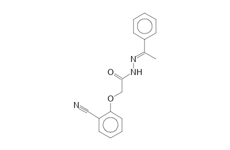2-(2-cyanophenoxy)-N-[(E)-1-phenylethylideneamino]acetamide