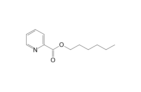 2-Pyridinecarboxylic acid, hexyl ester