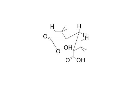 2,4-Ditert-butyl-4-hydroxy-5-keto-tetrahydrofuran-2-carboxylic acid