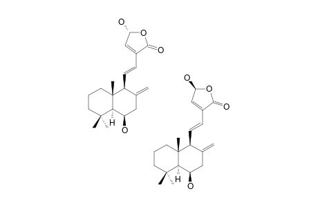 HEDYFORRESTIN-D;(6-BETA,15-XI)-DIHYDROXY-LABDA-8(17),11,13-TRIEN-15,16-OLIDE