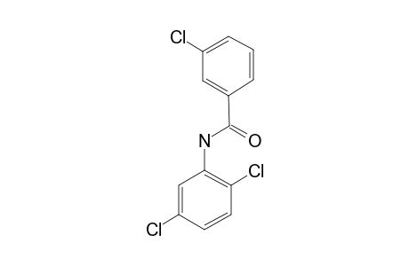 3-Chloro-N-(2,5-dichlorophenyl)benzamide