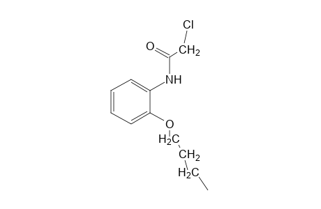 2'-butoxy-2-chloroacetanilide