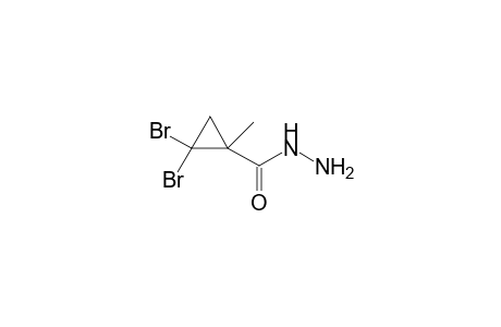 2,2-Dibromo-1-methylcyclopropanecarbohydrazide