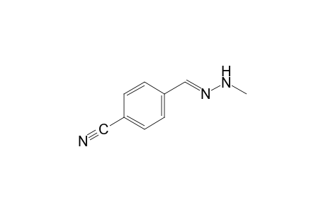 tetraphthalaldehydonitrile, methylhydrazone