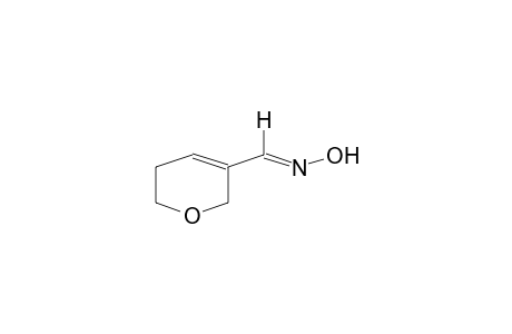 5,6-DIHYDRO-2H-PYRAN-3-CARBOXALDOXIM