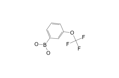 3-(Trifluoromethoxy)benzeneboronic acid