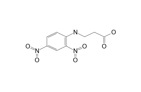 3-(2,4-Dinitroanilino)propanoic acid