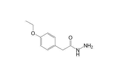 2-(4-Ethoxyphenyl)acetohydrazide