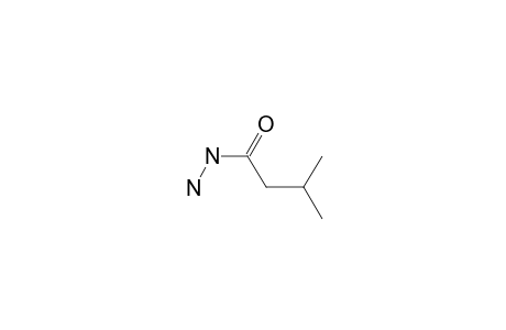 3-Methylbutanohydrazide