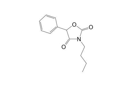 3-Butyl-5-phenyl-1,3-oxazolidine-2,4-dione