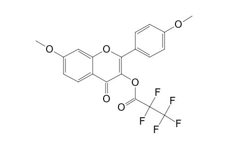 7,4'-Dimethoxy-3-(pentafluoropropionyl)oxyflavone