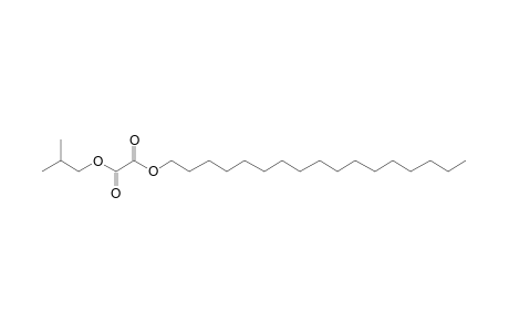 Oxalic acid, isobutyl heptadecyl ester