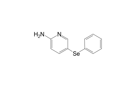 2-Amino-5-(phenylselanyl)pyridine