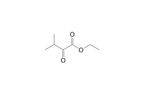 Ethyl 3-methyl-2-oxobutyrate