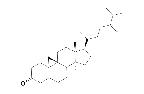 24-METHYLENEPOLLINASTANONE