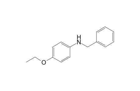 N-Benzyl-4-ethoxyaniline