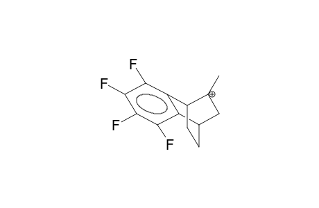 6-METHYL-2,3-PERFLUOROBENZOBICYCLO[2.2.2]OCTEN-6-YL CATION