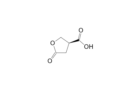 (3S)-3-Carboxybutano-4-lactone [(S)-(-)-paraconic acid]