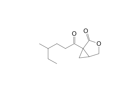 1-(4-Methylhexanoyl)-3-oxabicyclo[3.1.0]hexan-2-one