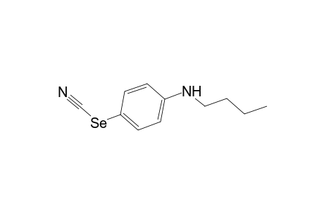 Selenocyanic acid, p-(butylamino)phenyl ester