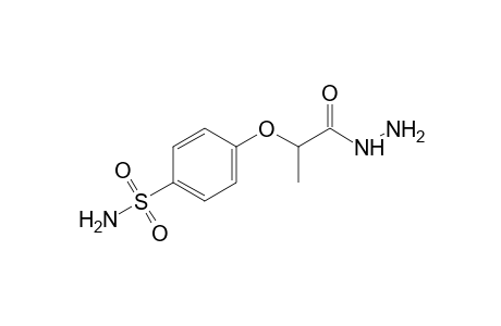 2-(p-sulfamoylphenoxy)propionic acid, hydrazide