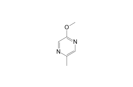 2-Methoxy-5-methyl-pyrazine