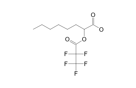 (+-)-2-hydroxyoctanoic acid, pentafluoropropionate