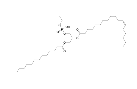 PEtOH 14:0_18:2