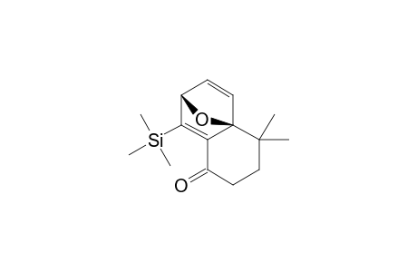 2,2-DIMETHYL-7-(TRIMETHYLSILYL)-11-OXATRICYCLO-[6.2.1.0(1,6)]-UNDEC-6,9-DIEN-5-ONE