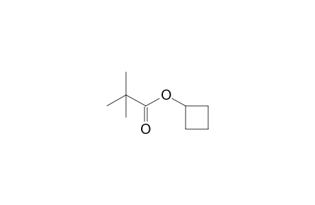 2,2-Dimethylpropanoic acid cyclobutyl ester