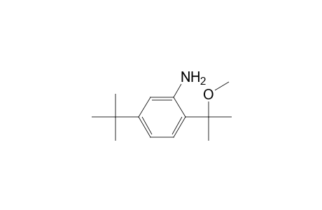 Benzenamine, 5-(1,1-dimethylethyl)-2-(1-methoxy-1-methylethyl)-