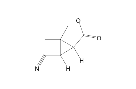 cis-3-CYANO-2,2-DIMETHYLCYCLOPROPANECARBOXYLIC ACID