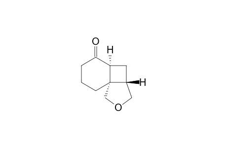 (3aS,4aS,8aS)-hexahydro-1H-benzo[1,4]cyclobuta[1,2-c]furan-5(6H)-one