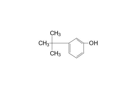 3-Tert-butylphenol