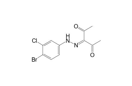 2,3,4-pentanetrione, 3-[(4-bromo-3-chlorophenyl)hydrazone]