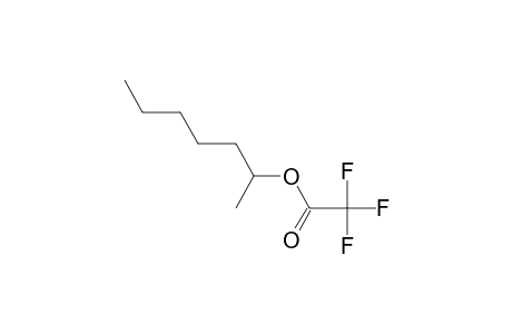 trifluoroacetic acid, 2-heptyl ester