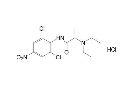 2',6'-dichloro-2-(diethylamino)-4'-nitropropionanilide, monohydrochloride