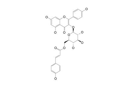 TILIROSIDE;KAEMPFEROL-3-O-BETA-D-[6''-(E)-PARA-COUMAROYL]-GLUCOPYRANOSIDE