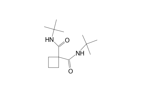 N,N'-di-tert-butyl-1,1-cyclobutanedicarboxamide