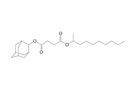 Succinic acid, dec-2-yl adamant-2-yl ester