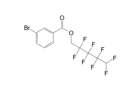 3-Bromobenzoic acid, 2,2,3,3,4,4,5,5-octafluoropentyl ester