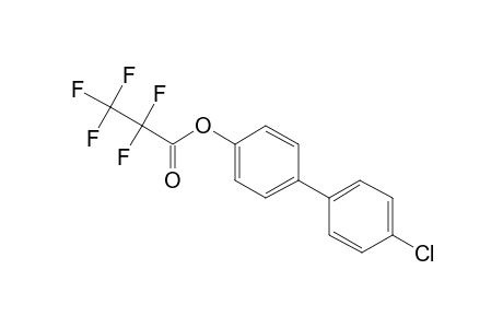 4-Hydroxy-4'-chlorobiphenyl, pentafluoropropionate