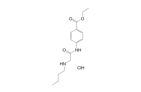 p-[2-(butylamino)acetamido]benzoic acid, ethyl ester, hydrochloride